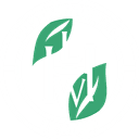 LHW Sustainability Leader