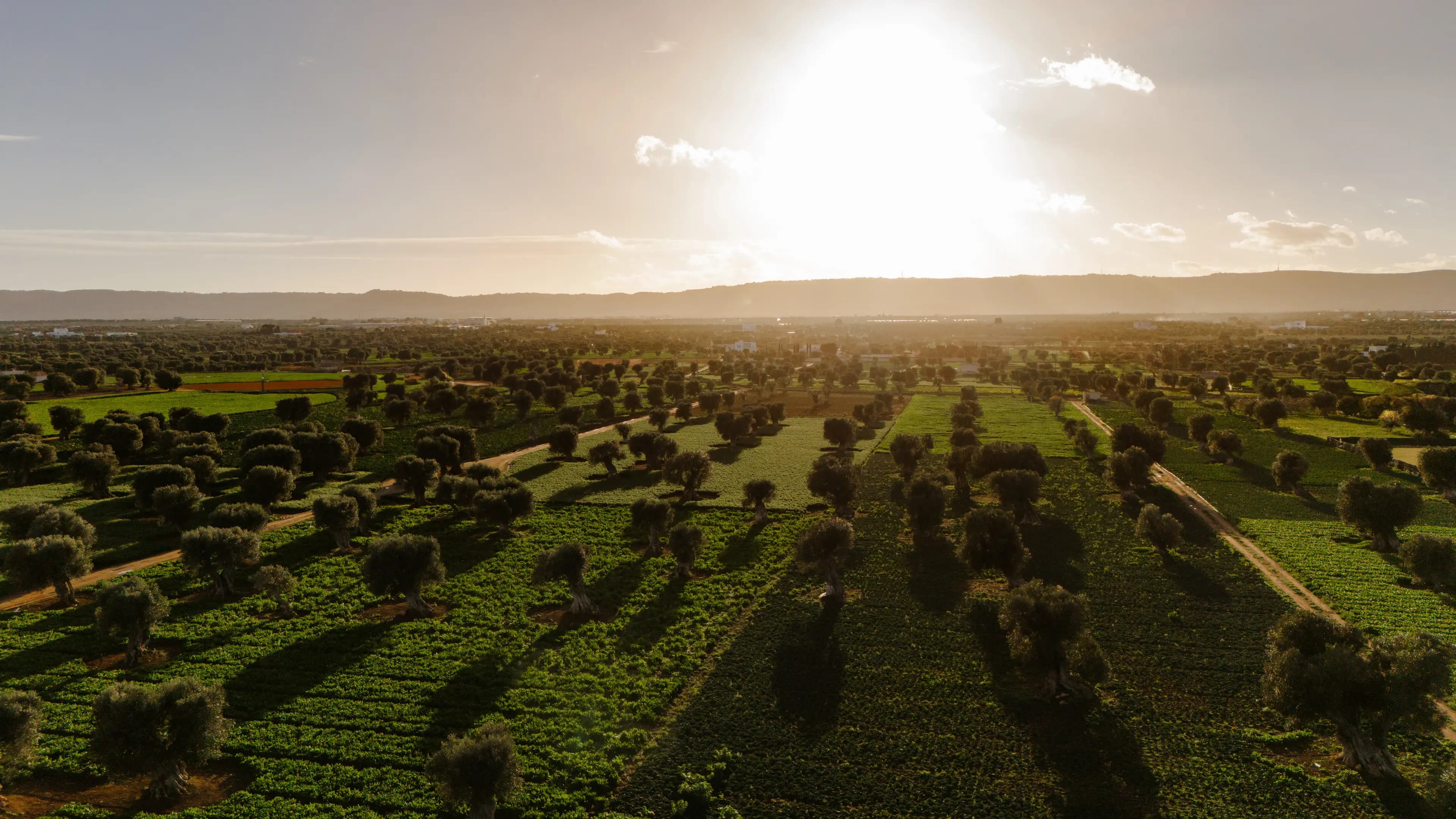 Corporate Sustainability