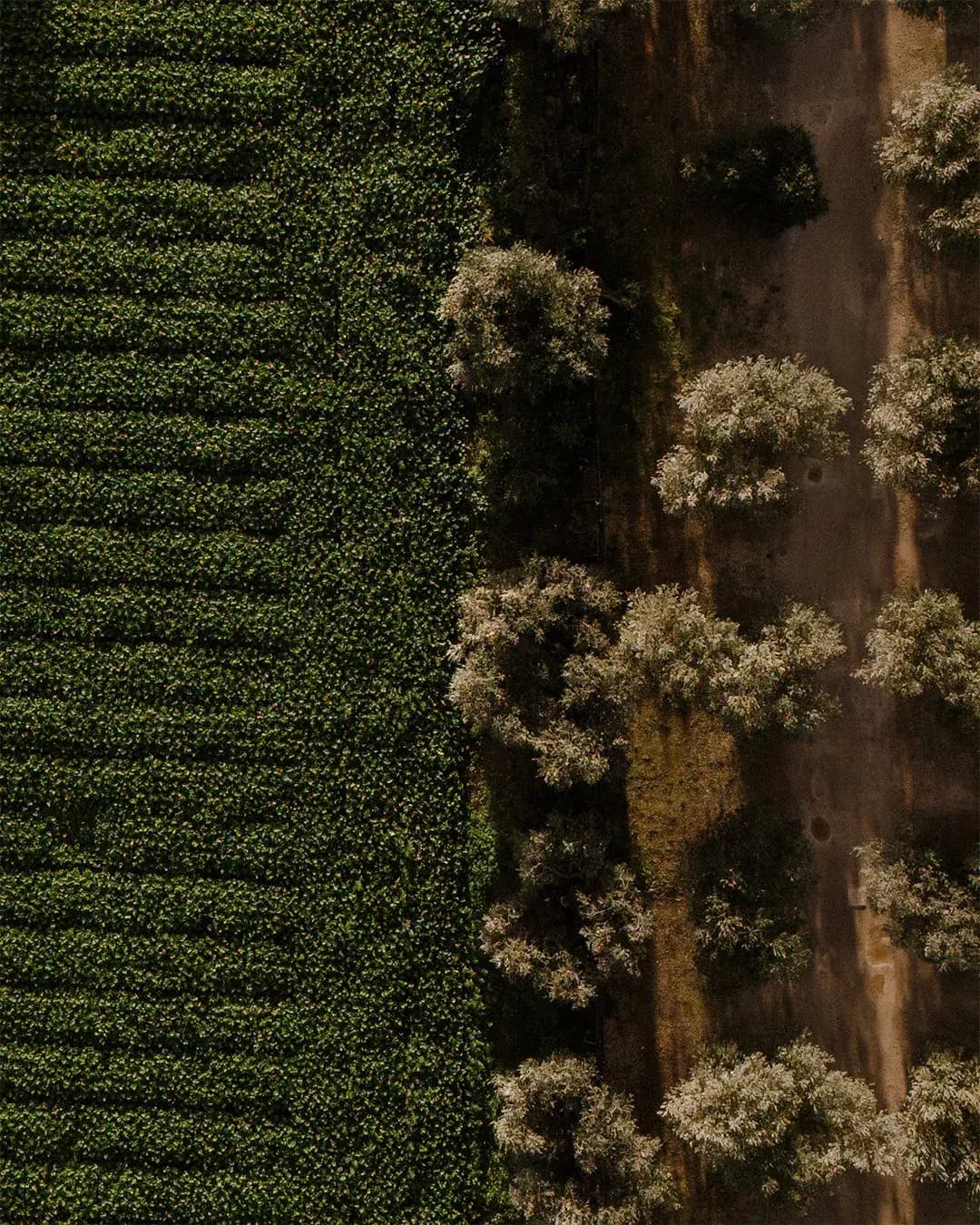 Architettura sostenibile